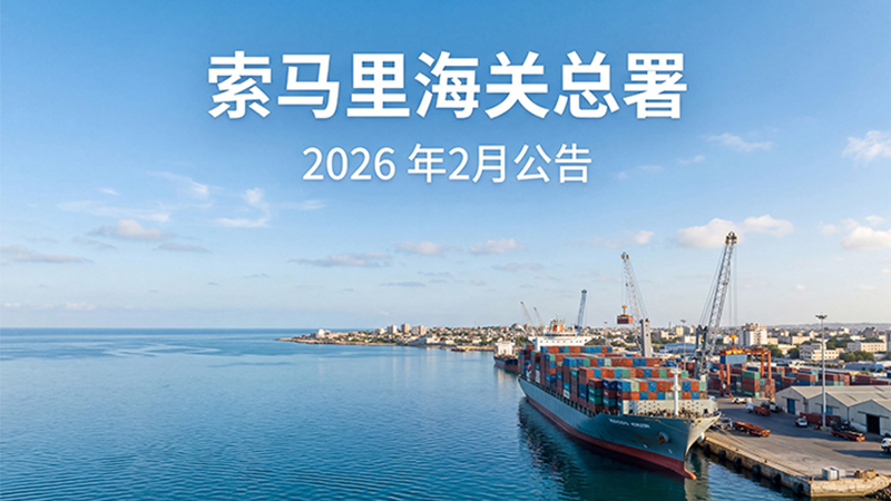 索马里摩加迪沙港强制要求 ECTN，提单需更新 16 位 ECTN 号码